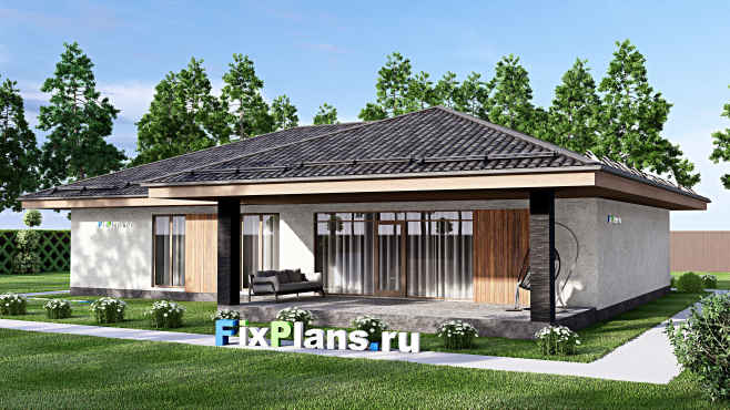 Проект одноэтажного дома F-12833 — вид со двора