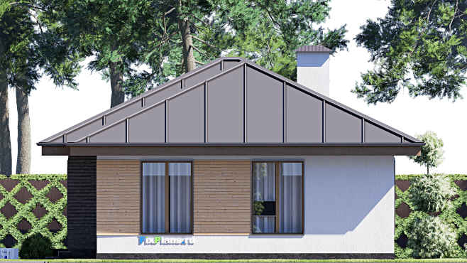 Проект одноэтажного дома F-18782 — фасад 3